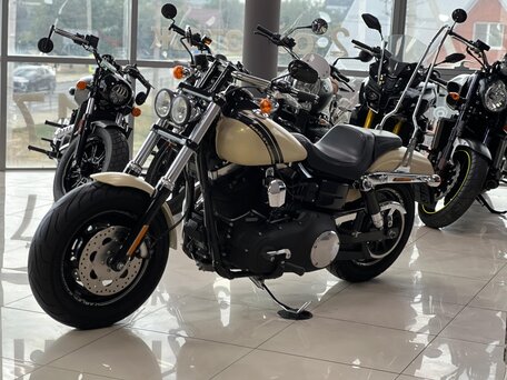 2014 Harley-Davidson Fat Bob, бежевый, 980000 рублей, вид 2