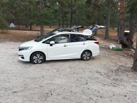 2016 Honda Shuttle II, белый, 1495000 рублей - вид 10