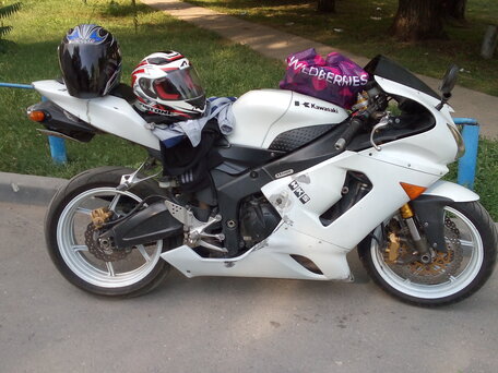 2006 Kawasaki ZX-6 Ninja, белый, 477000 рублей, вид 3