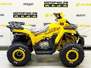 2025 Motoland Wild 125, жёлтый, 99000 рублей, вид 4