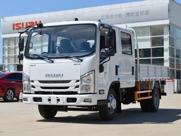 2026 Isuzu Elf (N-series), золотистый - вид 18
