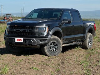 2023 Ford F-150 XIV, чёрный, 4200000 рублей, вид 1