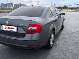 2017 Skoda Octavia III (A7) Рестайлинг, серый, 1930000 рублей, вид 5
