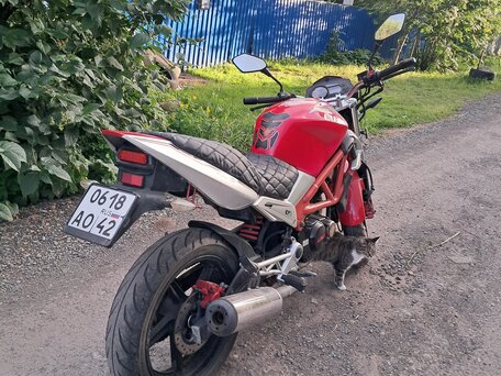 2015 Lifan LF250-19P, красный, 120000 рублей, вид 2