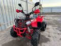 2021 Mowgli Dux 8, красный, 85000 рублей - вид 1