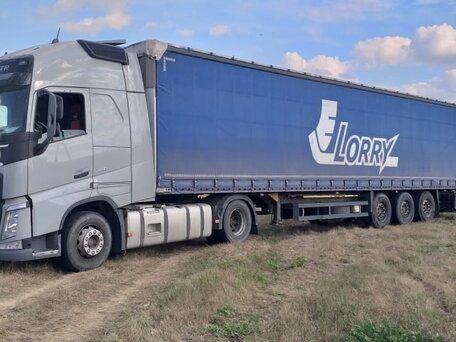 2019 Volvo FH, серый, 12500000 рублей, вид 3