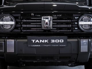 2026 Tank 300 I, чёрный, 5249000 рублей, вид 5