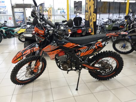 2025 Regulmoto CR-Z 300, красный, 244000 рублей, вид 2