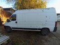 2008 Fiat Professional Ducato, белый, 600000 рублей - вид 3