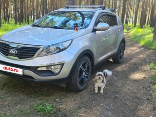 2013 Kia Sportage III, серебристый, 1355000 рублей, вид 3