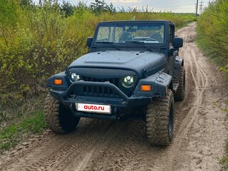 1999 Jeep Wrangler II (TJ), чёрный, 1250000 рублей, вид 3