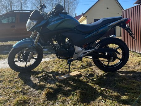 2016 Stels Flex 250, голубой, 95000 рублей, вид 4