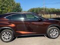 2018 Lexus NX 200 I Рестайлинг, коричневый, 3300000 рублей - вид 7