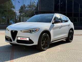 2020 Alfa Romeo Stelvio I Рестайлинг, белый, 2600000 рублей, вид 1