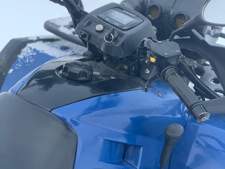 2015 Stels ATV-300, синий, 375000 рублей, вид 3