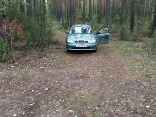 2008 ЗАЗ Sens, зелёный, 75000 рублей, вид 5