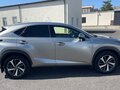 2019 Lexus NX 300 I Рестайлинг, серый, 3400000 рублей - вид 2