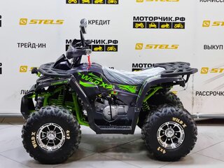 2025 Motoland Wild 125, серый, 99000 рублей, вид 2