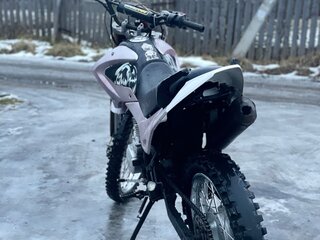 2021 Irbis TTR 250, розовый, 120000 рублей, вид 5