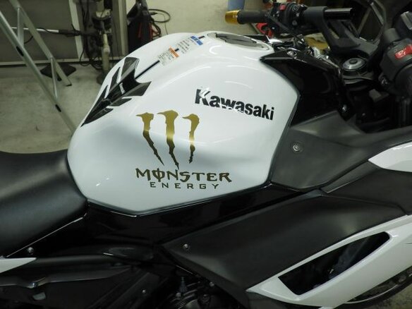 2020 Kawasaki Ninja 650, белый, 700000 рублей - вид 8