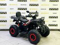 2025 Bison Warrior 200, чёрный - вид 6