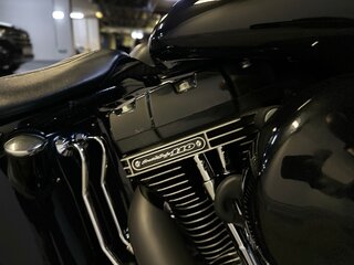 2016 Harley-Davidson Softail Slim, чёрный, 2500000 рублей, вид 5