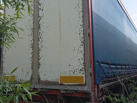 2003 Pacton TXD, синий, 280000 рублей, вид 5