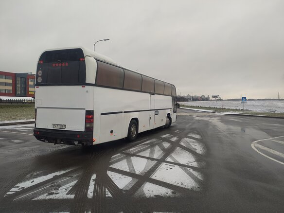 1993 Neoplan Spaceliner, белый, 764144 рублей
