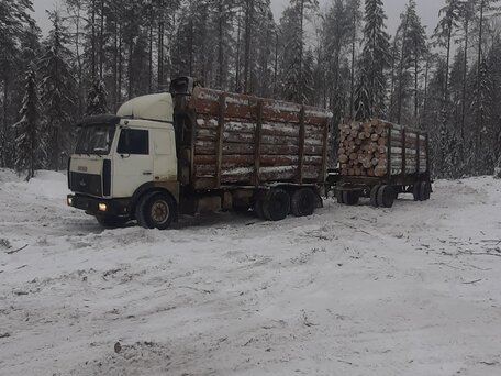 2011 МАЗ 6303, белый, 2200000 рублей, вид 1