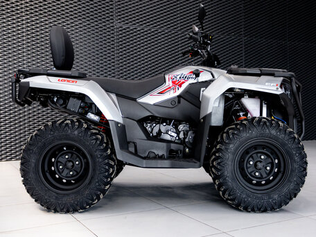 2026 Loncin XWolf 300, серый, 485000 рублей, вид 3
