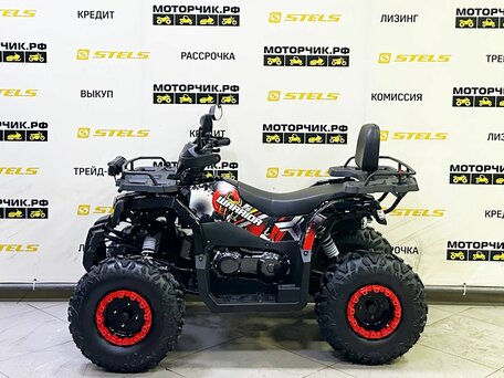 2025 Bison Warrior 200, чёрный, 239900 рублей, вид 2