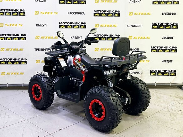 2025 Bison Warrior 200, чёрный - вид 2