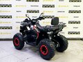 2025 Bison Warrior 200, чёрный - вид 2