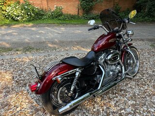 2008 Harley-Davidson Sportster 883, пурпурный, 599000 рублей, вид 4