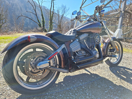2009 Harley-Davidson Rocker C, пурпурный, 750000 рублей, вид 4