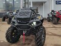 2025 Stels ATV-850 Guepard Trophy, серый