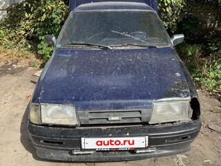 2002 Иж 2717 2717, синий, 65000 рублей, вид 1