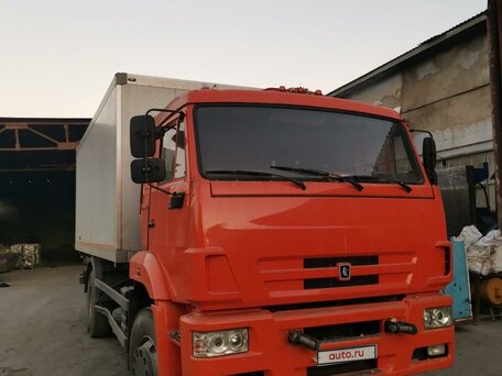2016 КамАЗ 43118, оранжевый, 5500000 рублей, вид 2