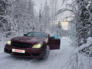 2005 Mercedes-Benz CLS 500 I (C219), пурпурный, 1050000 рублей, вид 4