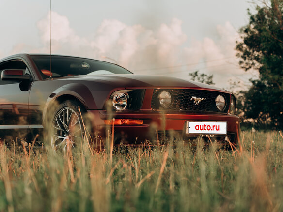 2005 Ford Mustang V, пурпурный, 3300000 рублей - вид 18