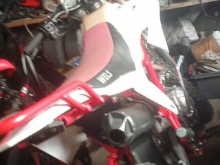 Wels Ghost 250