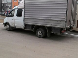 2008 ГАЗ ГАЗель (33023/330273) Фермер, белый, 700000 рублей, вид 5