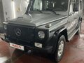 2013 Mercedes-Benz G-Класс 300 Professional I (W461) Professional, серый