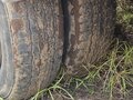 2014 ГАЗ ГАЗель (3302), белый, 600000 рублей - вид 7