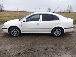 2007 Skoda Octavia I (A4) Рестайлинг, белый, 299000 рублей, вид 5