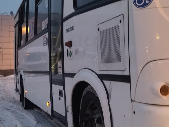 2017 ПАЗ 3204, белый, 1500000 рублей - вид 5