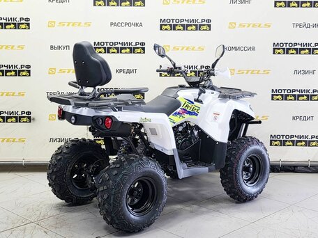 2025 Iride 200 Rover L, белый, 179000 рублей, вид 5