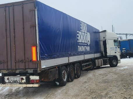 2008 Schmitz Cargobull S01, серый, 1800000 рублей, вид 1