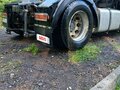 2003 DAF 95XF, белый, 1950000 рублей - вид 2