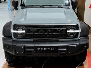 2026 Tank 300 L I Рестайлинг 2, голубой, 6000000 рублей, вид 1